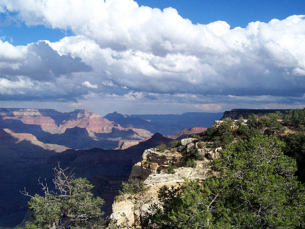 grand canyon tours