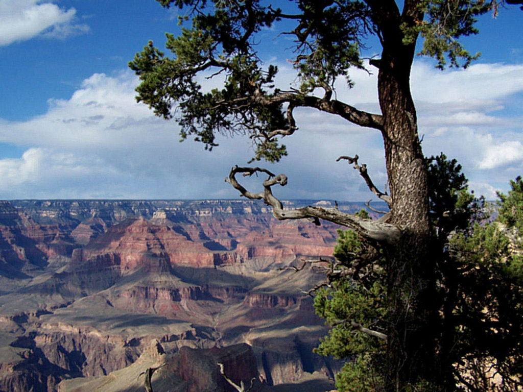 Grand Adventures Tours Las Vegas - Las Vegas Grand Canyon Tours, Grand